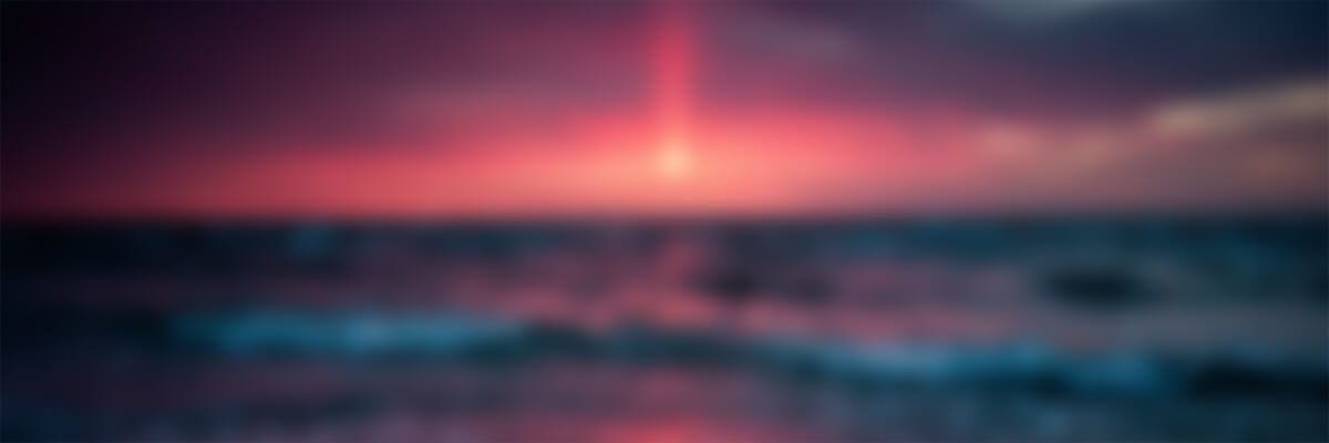 博学明智  慎思进取