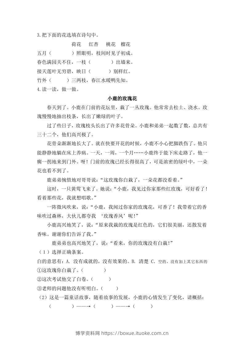 图片[2]-二下语文：第三课时练-博学资料网