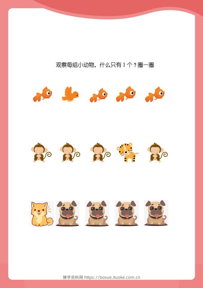 图片[2]-【数学】小班数感练练练-博学资料网