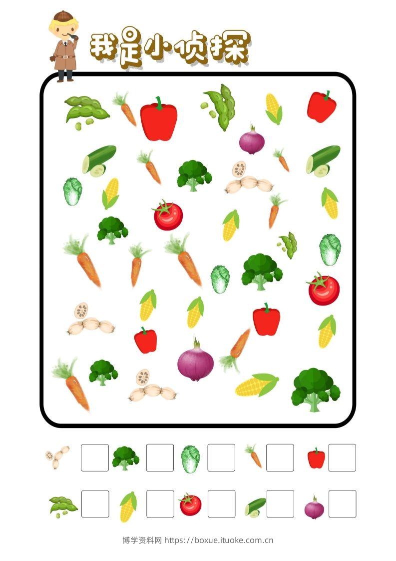 图片[2]-专注力训练-我是小侦探-博学资料网
