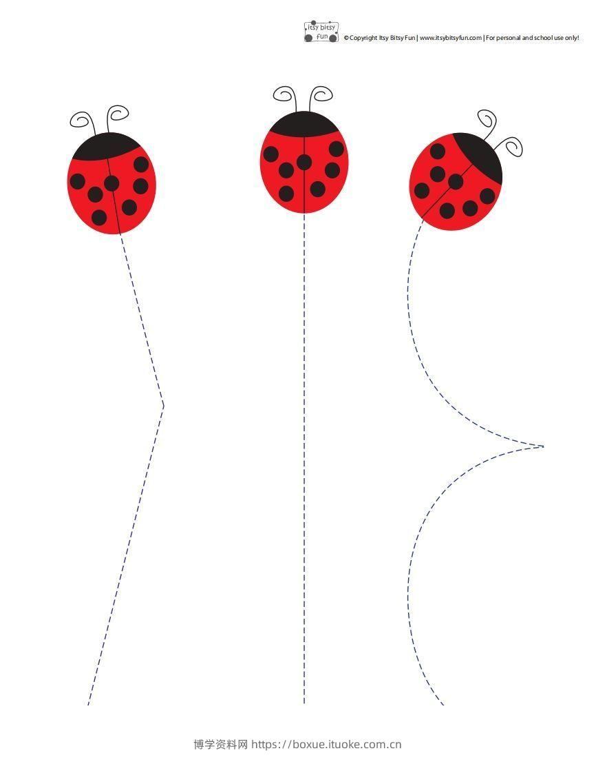 昆虫剪纸-博学资料网