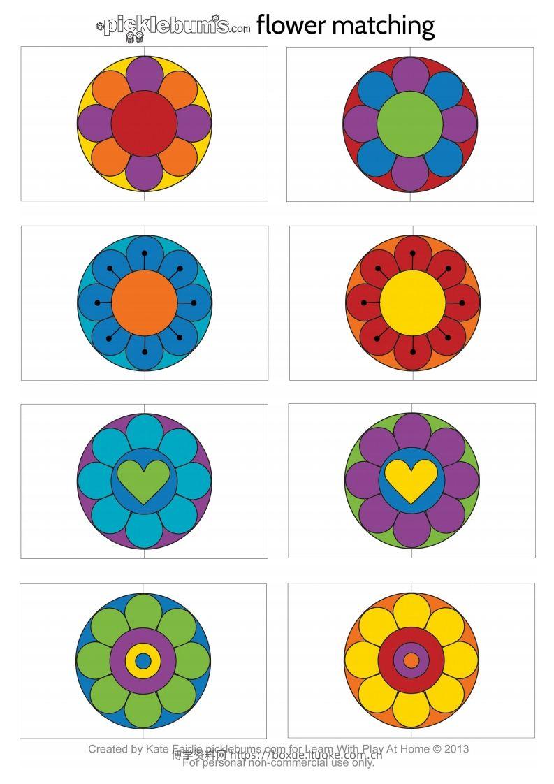 记忆卡片12-博学资料网