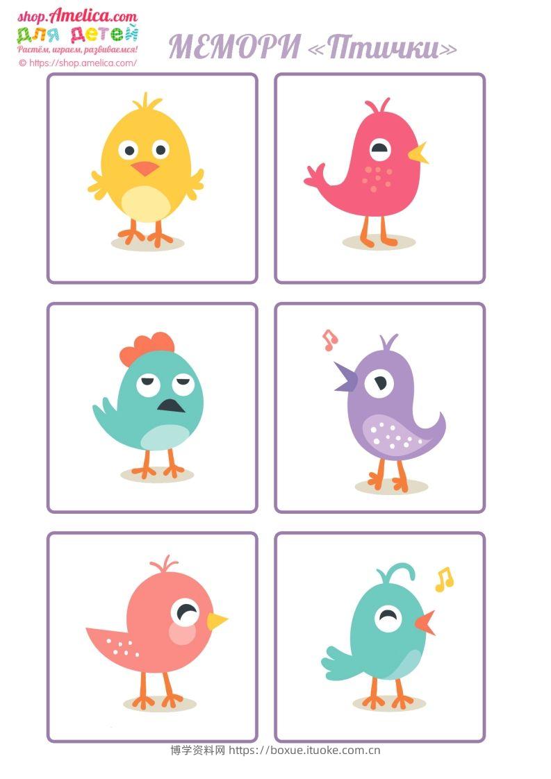 记忆卡片13-博学资料网