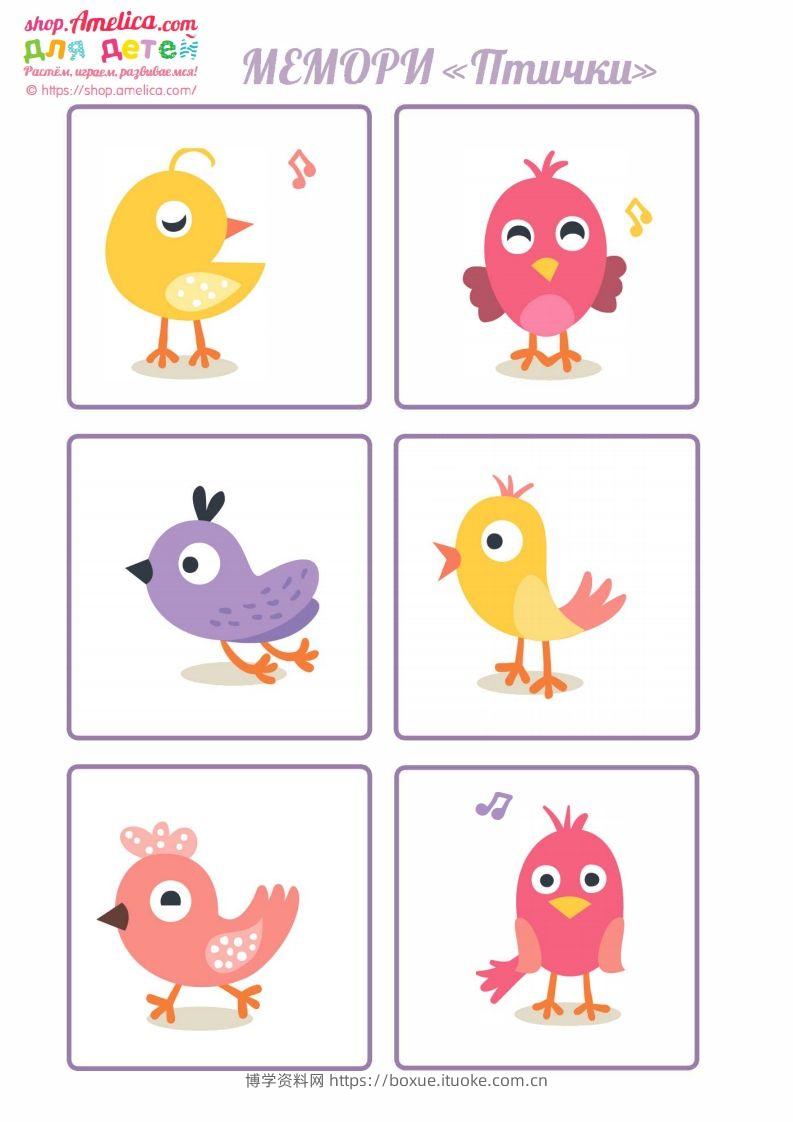 图片[2]-记忆卡片13-博学资料网