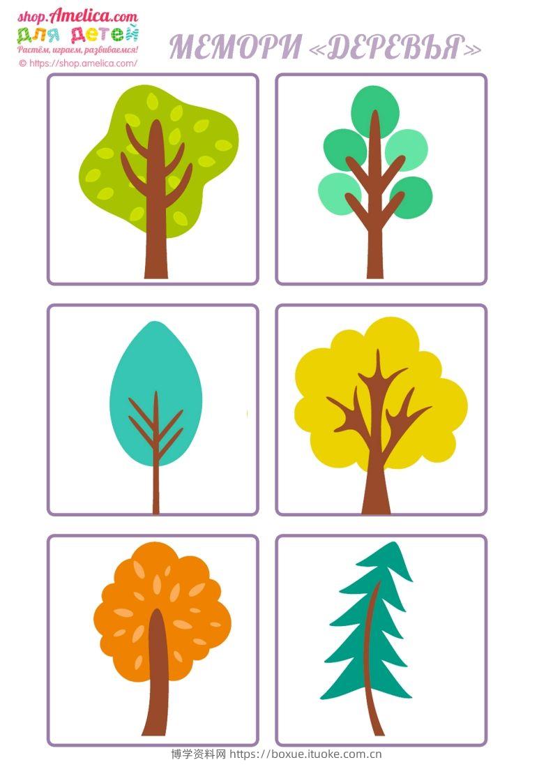 记忆卡片14-博学资料网