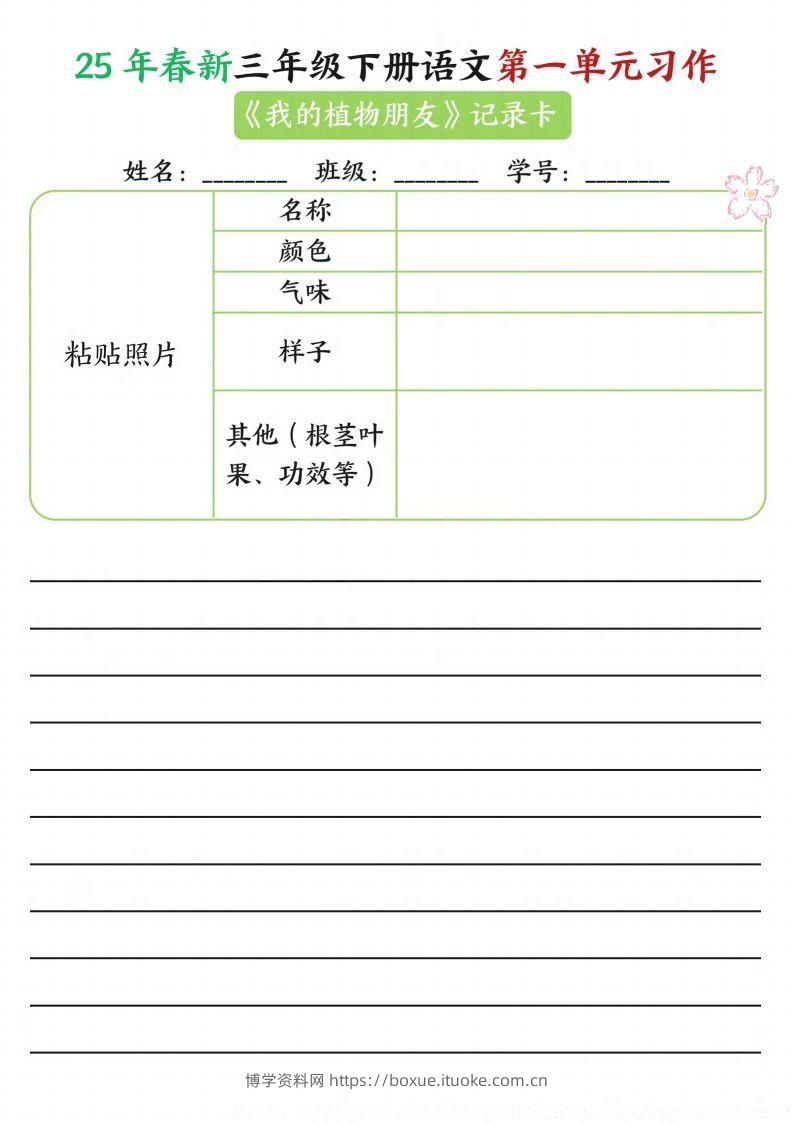 【习作】25年春新三下语文第一单元习作（观察单）16页-博学资料网