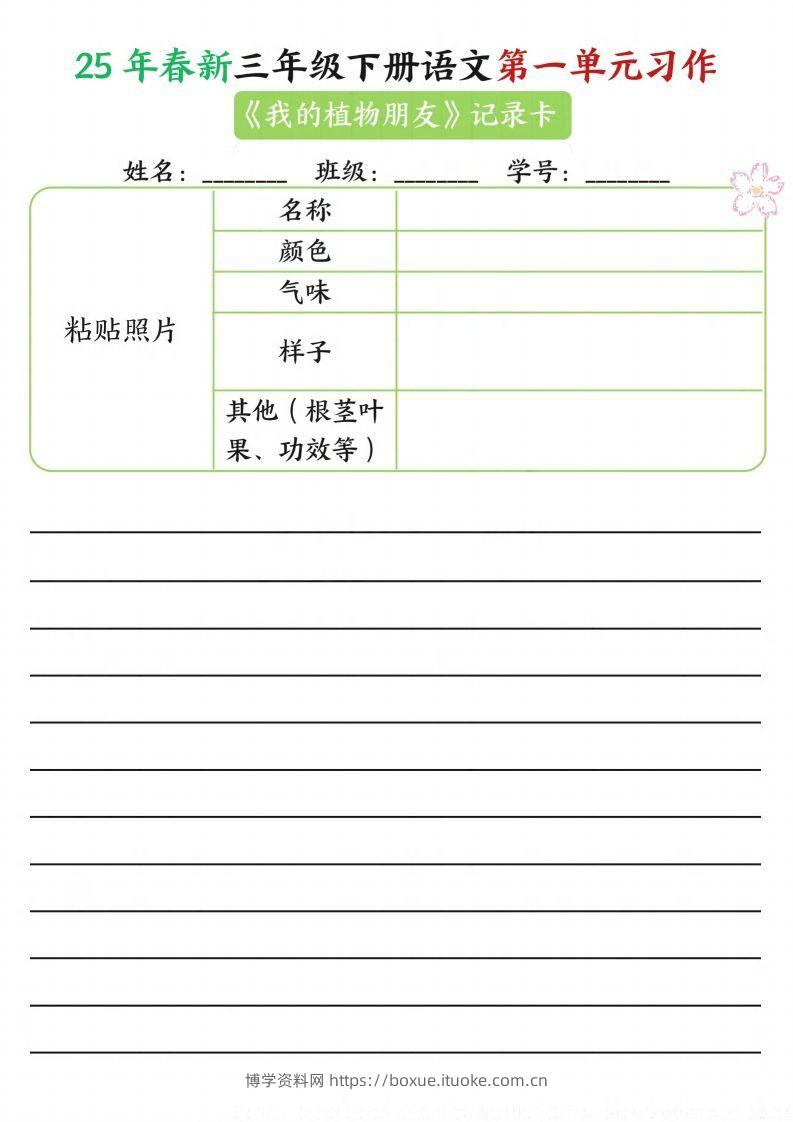 图片[2]-【习作】25年春新三下语文第一单元习作（观察单）16页-博学资料网